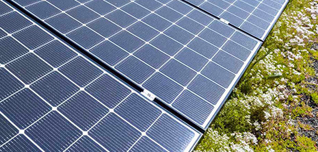 BauderSOLAR extensivo