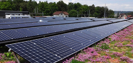 Sistemas de cubiertas verdes BauderSOLAR